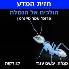 הולכים אל הנמלה