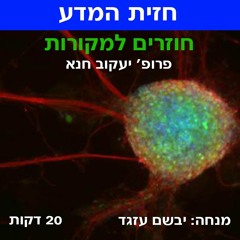 חוזרים למקורות