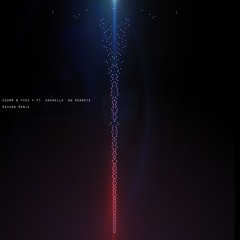 Kshmr & Yves V Ft. Krewella No Regrets(Kayhan Remix)