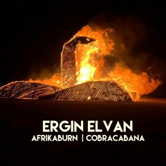 Ergin Elvan @Afrikaburn2019 CobraCabana