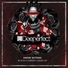 Andre Butano - Black Flowers Crash  (James Dexter Remix)