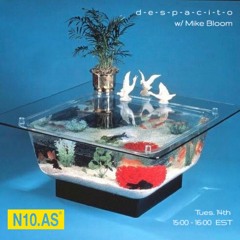 DESPACITO w/ Mike Bloom on N10.AS Radio 05.14.19