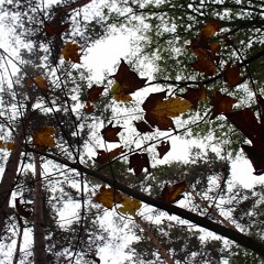 Wie Entwicklungstrauma entsteht