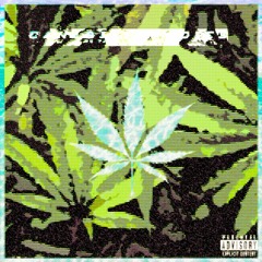 CANNABISPARADIES - No Tabacco x Weedman