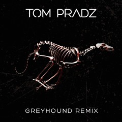 Swedish House Mafia - Greyhound (Tom Pradz Remix)