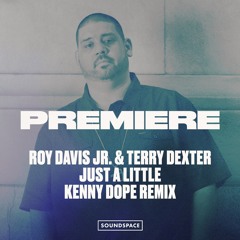 Premiere: Roy Davis Jr. & Terry Dexter - Just A Little Bit of Love 2019 (Kenny Dope Remix)