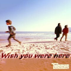 Wish You Were Here