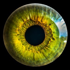1000 Eyes