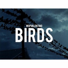 Birds(Prod. YZ)