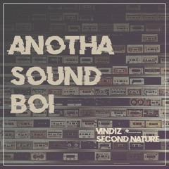 Vindiz & Second Nature- Anotha Sound Boi