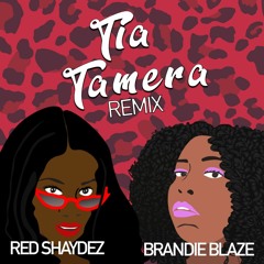 Red Shaydez & Brandie Blaze-Tia Tamera Remix (Doja Cat & Rico Nasty)