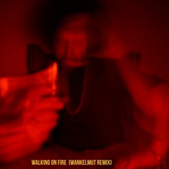 Walking On Fire - Rilan & The Bombardiers (Wankelmut Remix)