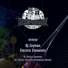 DJ Zeyhan - Electric Elements (Pakobeatz Remix) - 96 kbps preview