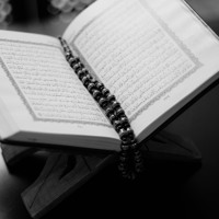 Abdelkhalek Ali Sura 31 Luqman