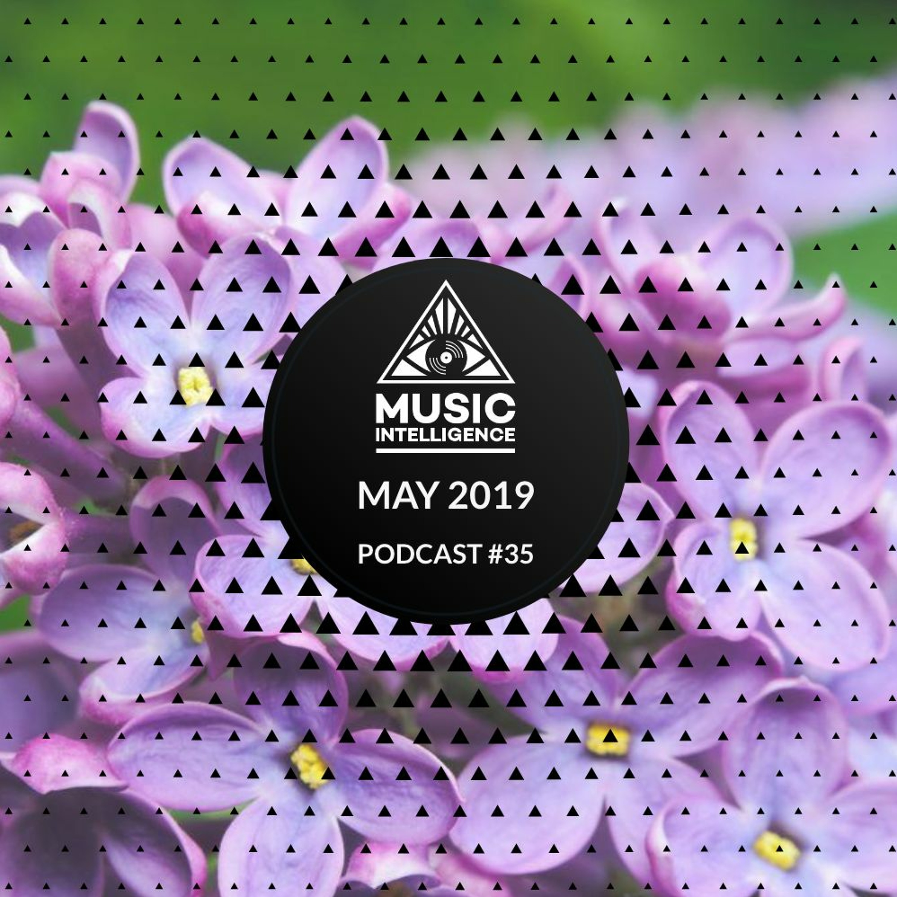 Music Intelligence Podcast