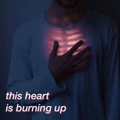 Tightrope (p. pacific)