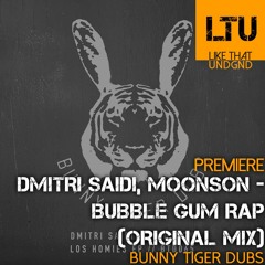 Premiere: Dmitri Saidi, Moonson - Bubble Gum Rap (Original Mix) | Bunny Tiger Dubs