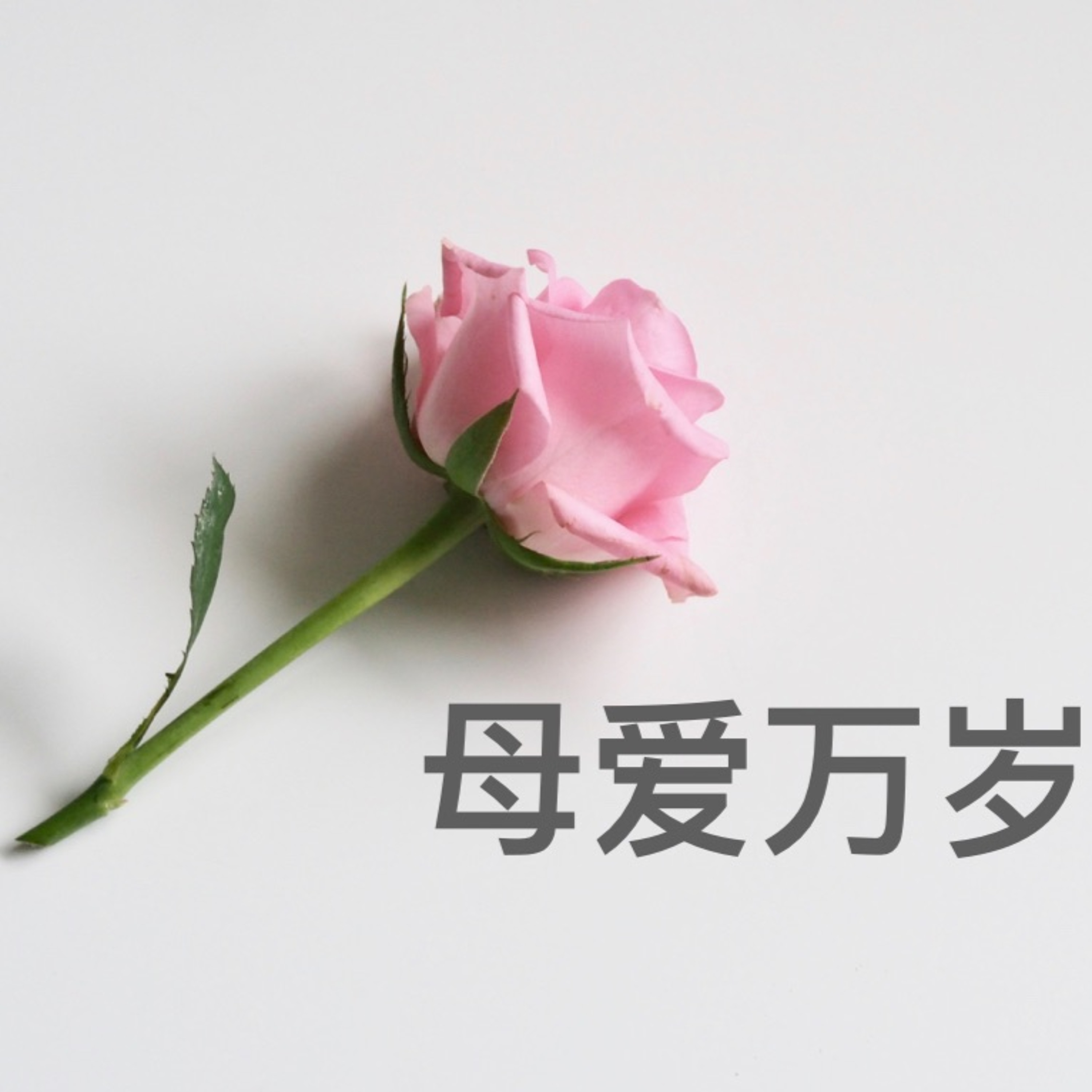 05/12/2019 母爱万岁—王唯权牧师 episode artwork