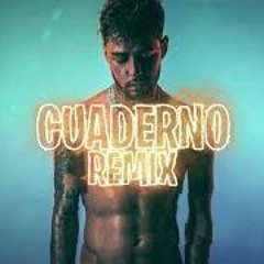 CUADERNO (REMIX) FER PALACIO ft DJ ROMAN