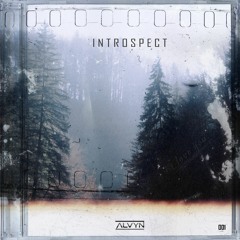 Introspect 001