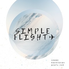 SimpleFlight✈️ 2