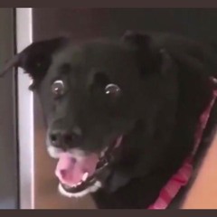 Vader Move Prod. By Somegod