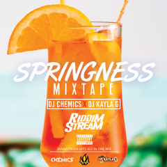 DJ Chemics x DJ Kayla G - SPRINGNESS Vol.2 (2019 MAINSTREAM Hits Mixtape) @RIDDIMSTREAM