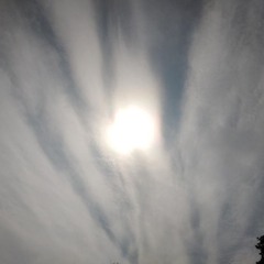 To Solve The Mystery