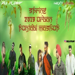 Dj Raw - Spring 2k19 Punjabi Urban Mashup(NEXT LEVEL ROADSHOW MIX)