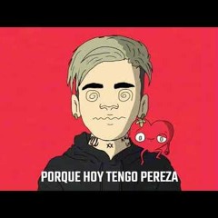 DISTURBIOS  - PEMA