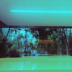 The Movement 2019 Mix