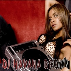 2007- SUMMER MIX DJ HAVANA BROWN( FEAT. MC JUNIOR)- THE WATERMARK DAYS