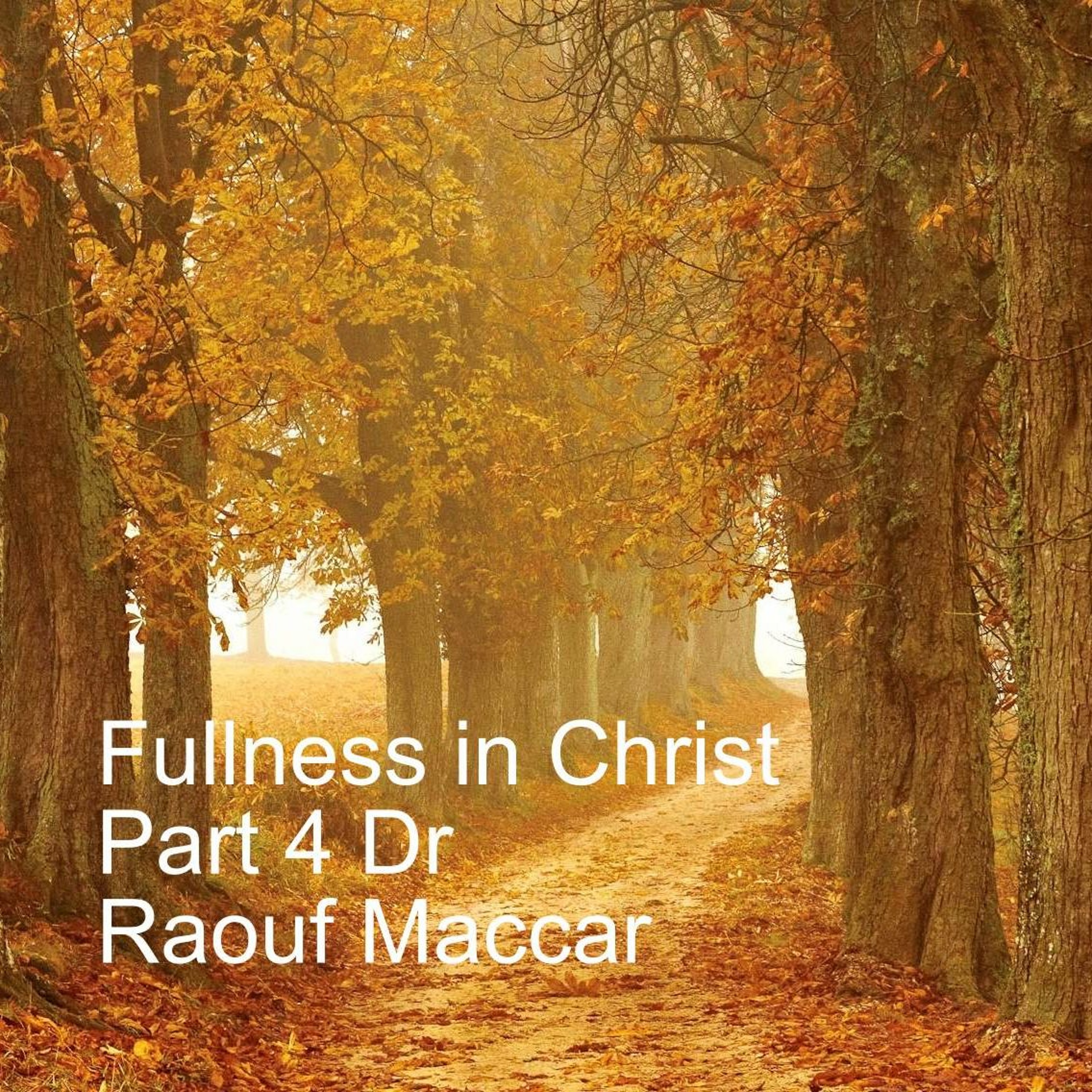 The Way Orthodox Fellowship