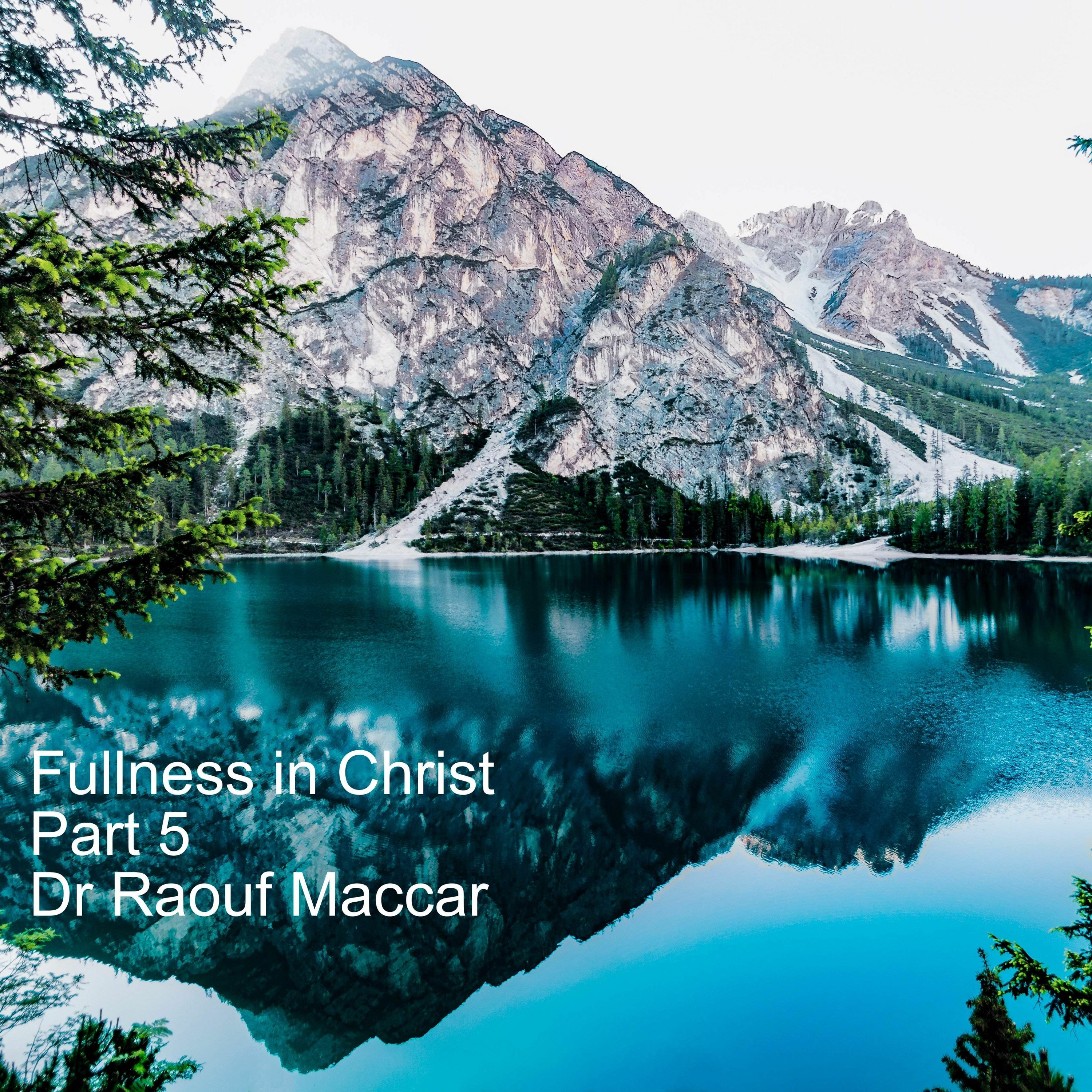 The Way Orthodox Fellowship