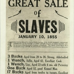 Gidron-Peniel_THESE CURSES ARE REAL