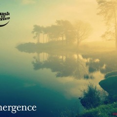 Emergence