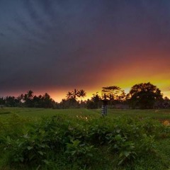 Jalan Sawah Malam 夜の田んぼ道