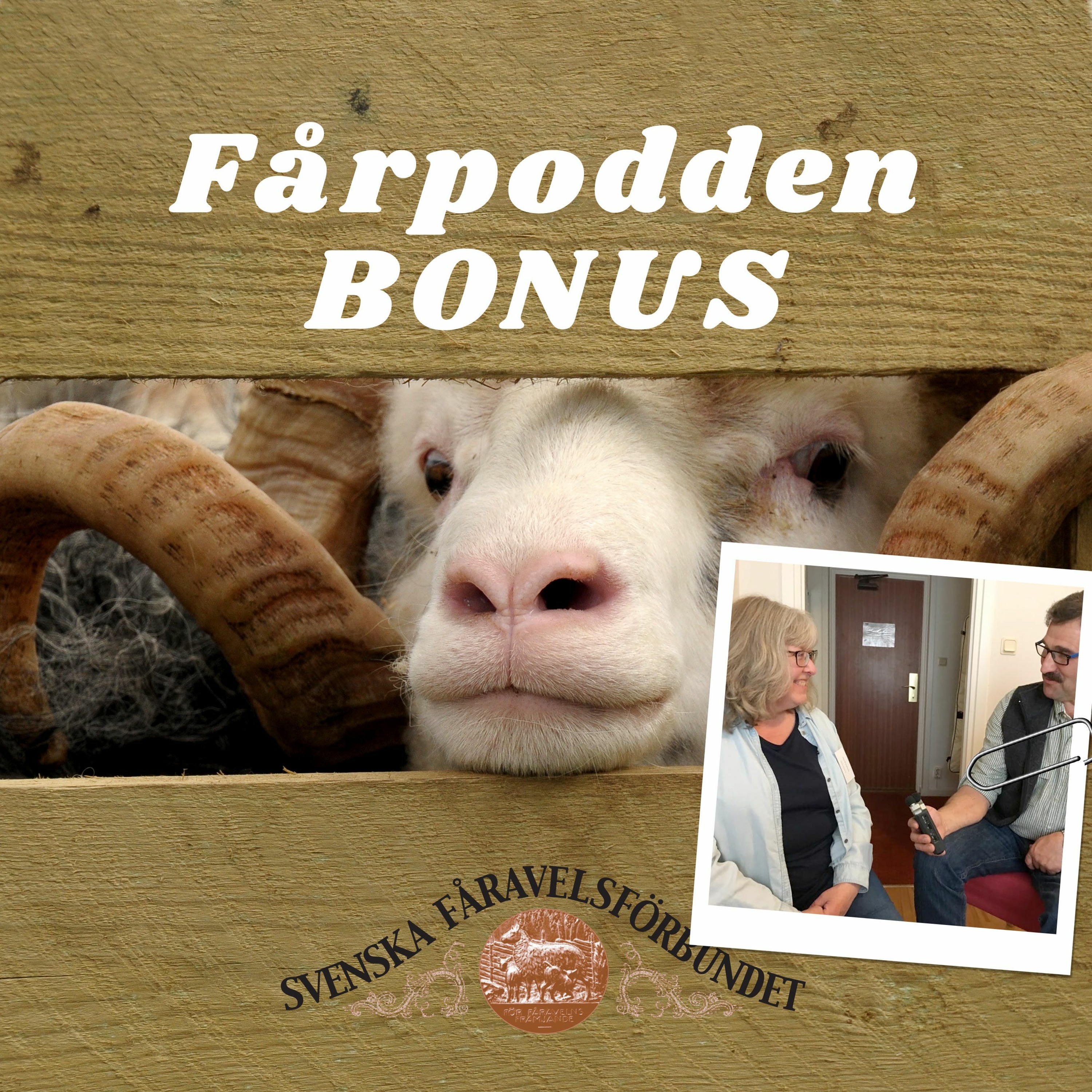 Svenska Fåravelsförbundet