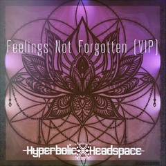 Feelings Not Forgotten (VIP)