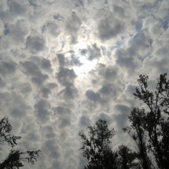 Visions of the sky