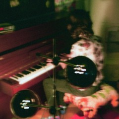 Regular Dog: Keskellä valojen vaadin