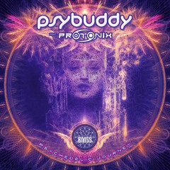 Protonix & PsyBuddy - The Psychedelic Journey [BMSS Records | 2019]