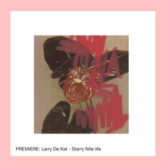 PREMIERE: Larry De Kat - Starry Nite Life