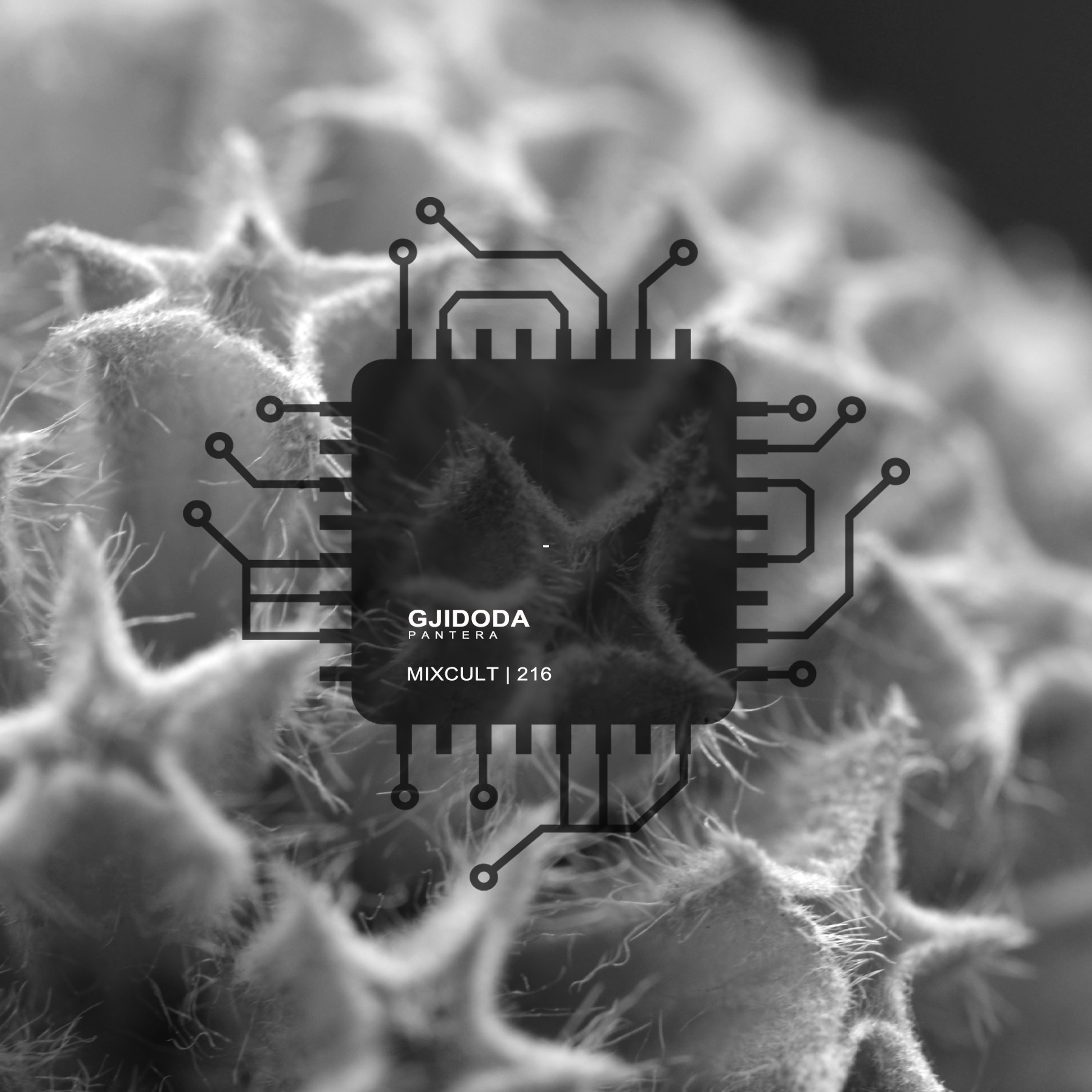 MixCult Records & Radio Podcast