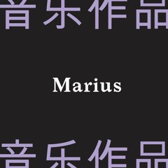 B1 Marius - Zandar High