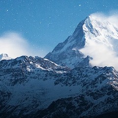 Salamander アレンジver cover