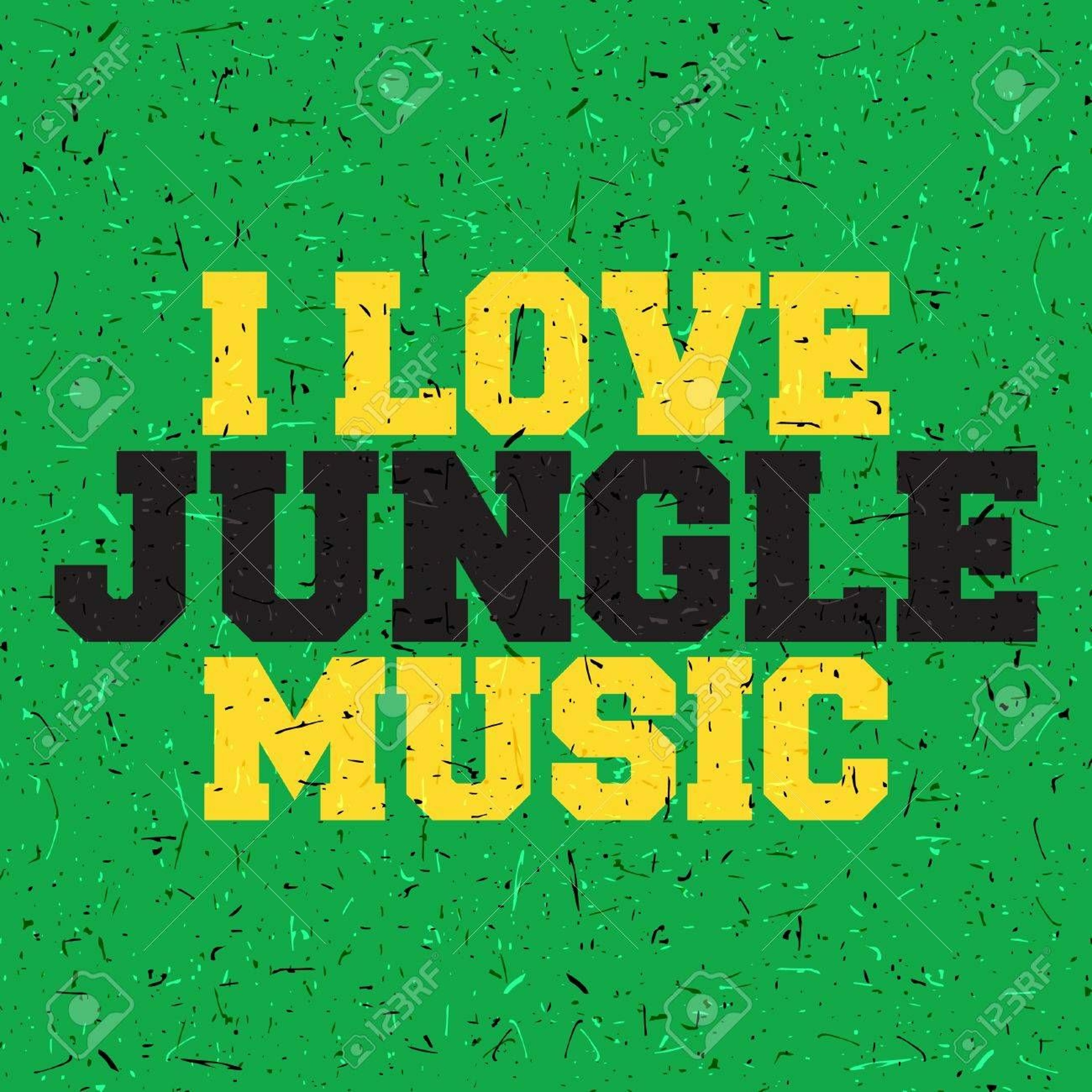 New Jungle 12/5/19 episode artwork