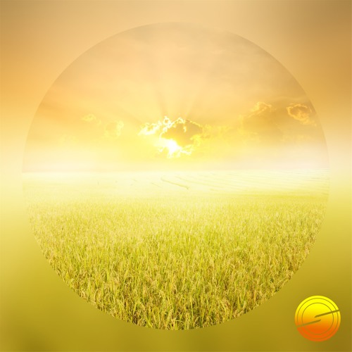 Sunlight Project - Skyline