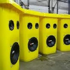 Dr Cryptic -  Bass Bins