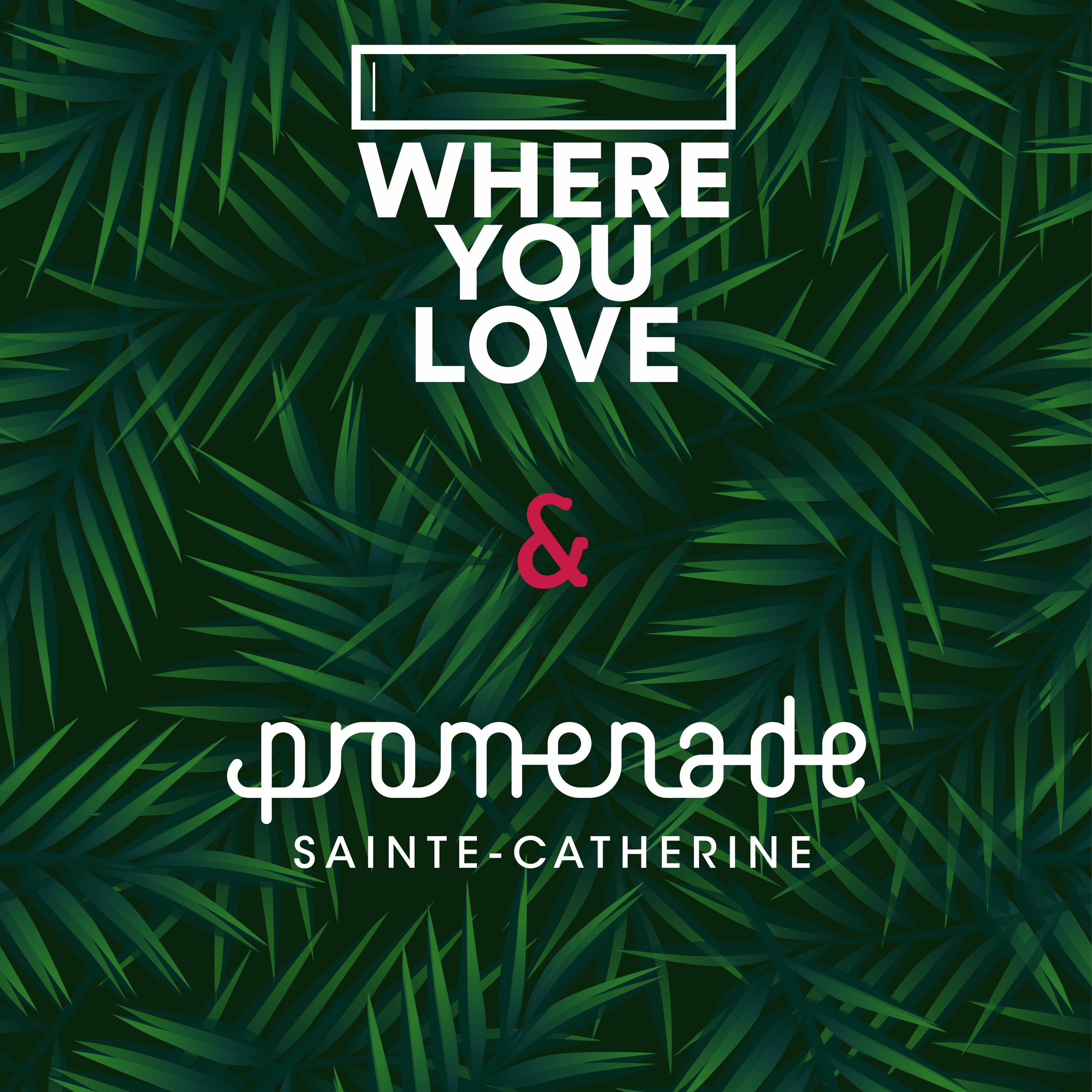 WYL x La Promenade Sainte Catherine